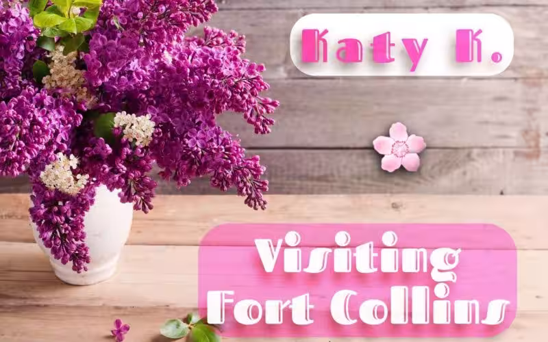 Escort/Massage/S&M Katy in Bismarck, ND