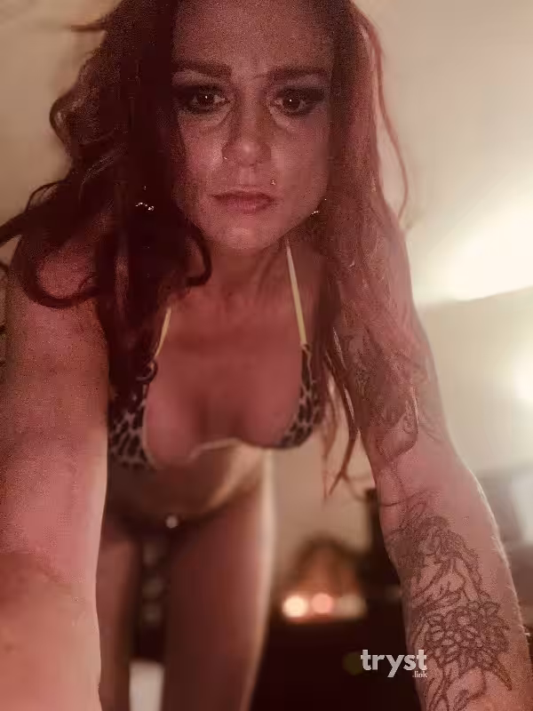 Escort/Massage Gigi Storm / Scarlet Jane in Burnsville, MN