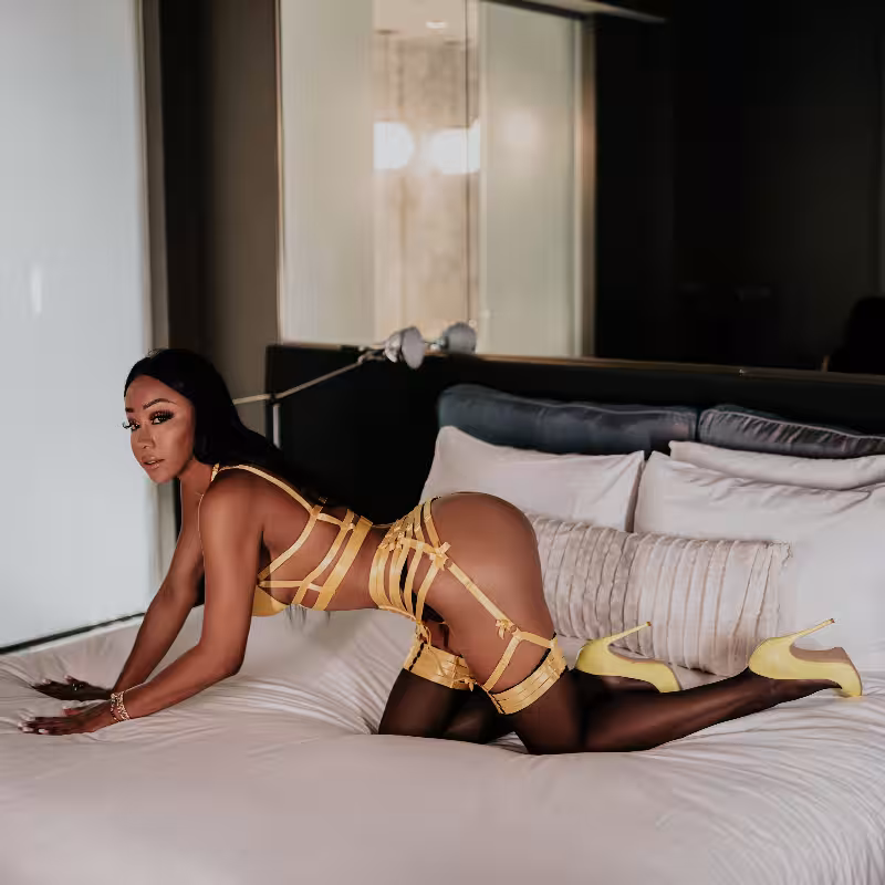 Escort TS Astrid Lee in Chicago, IL