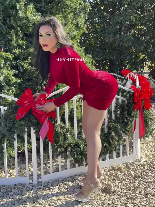 Escort TS Andressa / TS Alexxandria in Dallas, TX