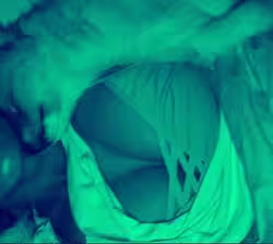 Escort/Massage Chanel Taylor / Star Jason in Fort Worth, TX