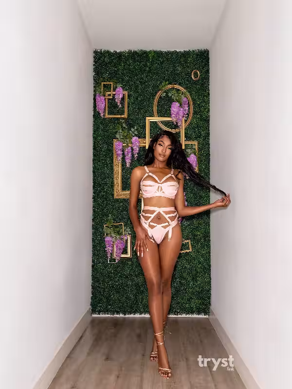 Escort Nina Nouvelle / Nina in Houston, TX