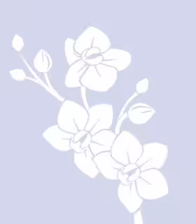 Escort/Massage Helen in Jersey City, NJ