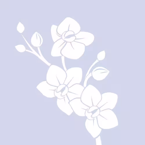 Escort/Massage/S&M Desireh Chin in Miami, FL