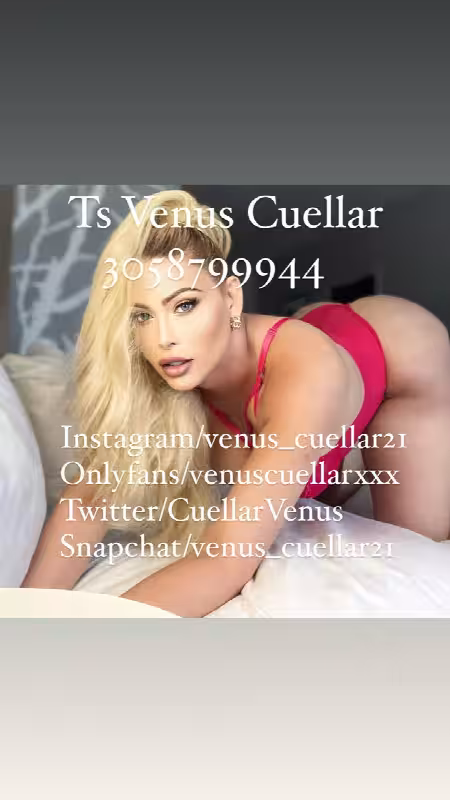 Escort/Massage TS Venus Cuellar in Miami, FL