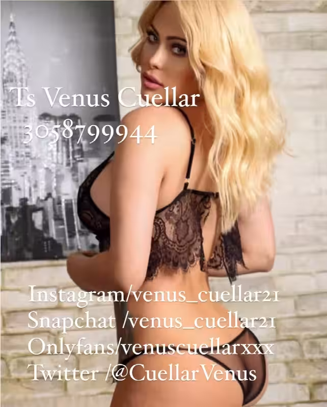 Escort/Massage TS Venus Cuellar in Miami, FL