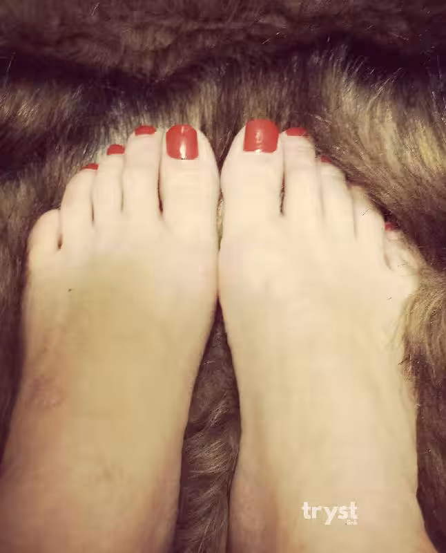 Escort/Massage Betty in Minneapolis, MN