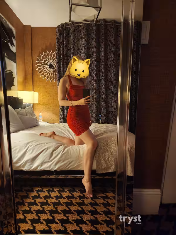 Escort/Massage/S&M Addie / Arina in New York City - Manhattan, NY