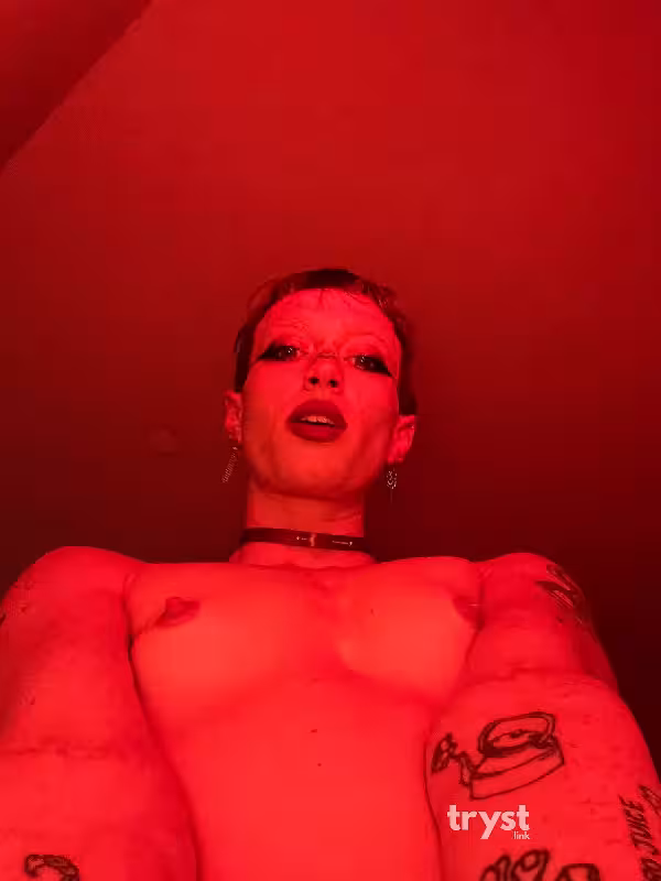 Escort/Massage/S&M Scarlet in North Hollywood, CA