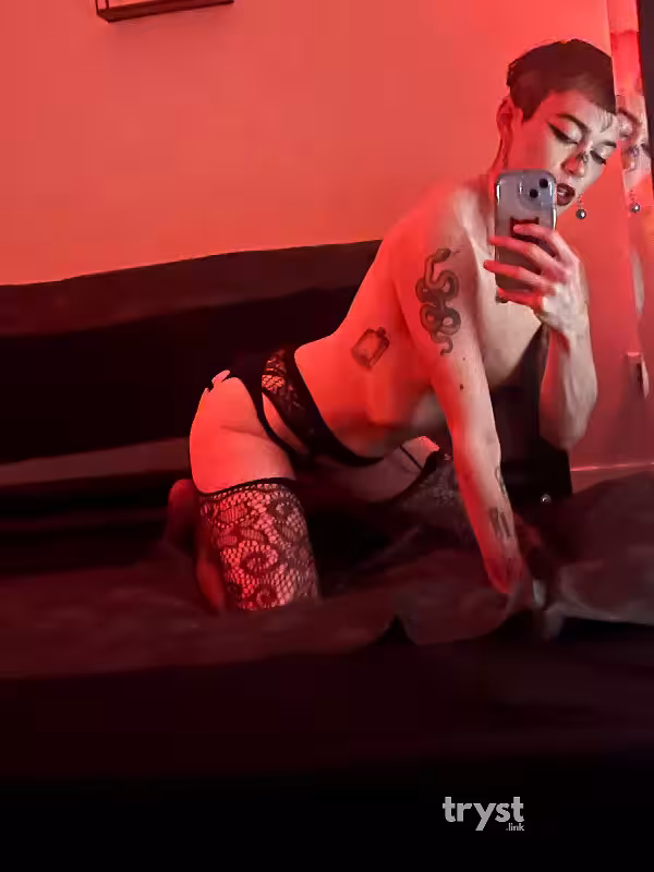 Escort/Massage/S&M Scarlet in North Hollywood, CA