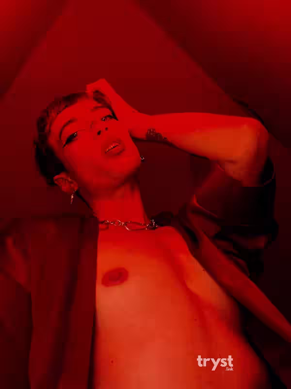 Escort/Massage/S&M Scarlet in North Hollywood, CA