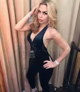 Escort/Massage/S&M TS Michelle in Queens, NY