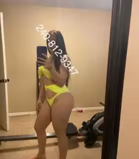 Escort Stacey Starr in Springfield, VA