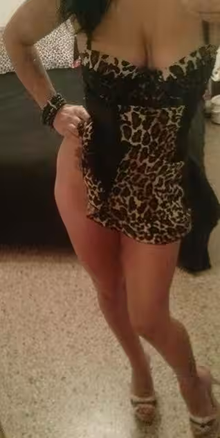 Escort/Massage Sofia / Sophia in St. Petersburg, FL