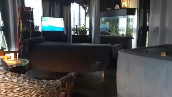 Massage Afiya in Tampa, FL